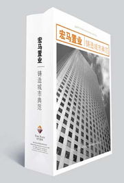 產(chǎn)品包裝設(shè)計 從創(chuàng)意到服務(wù)的全方位價值提升